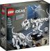 LEGO 21320