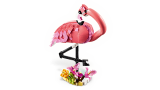 sub-tema
