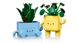 subtheme