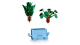 subtheme