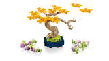 subtheme